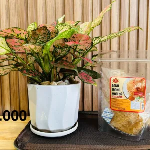 Bánh Tráng Muối Sả